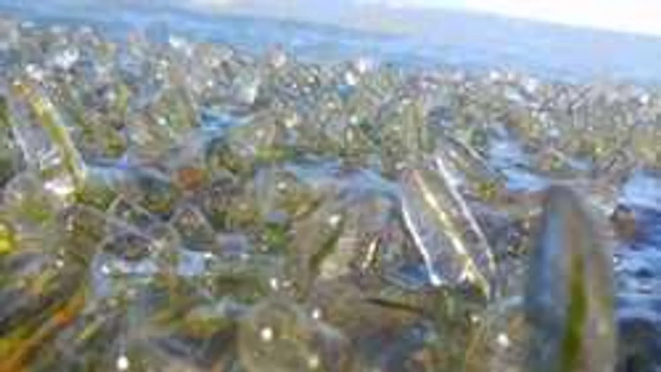 Ennél szebbet ma már nem látsz: 3 videó a zajló Dunáról