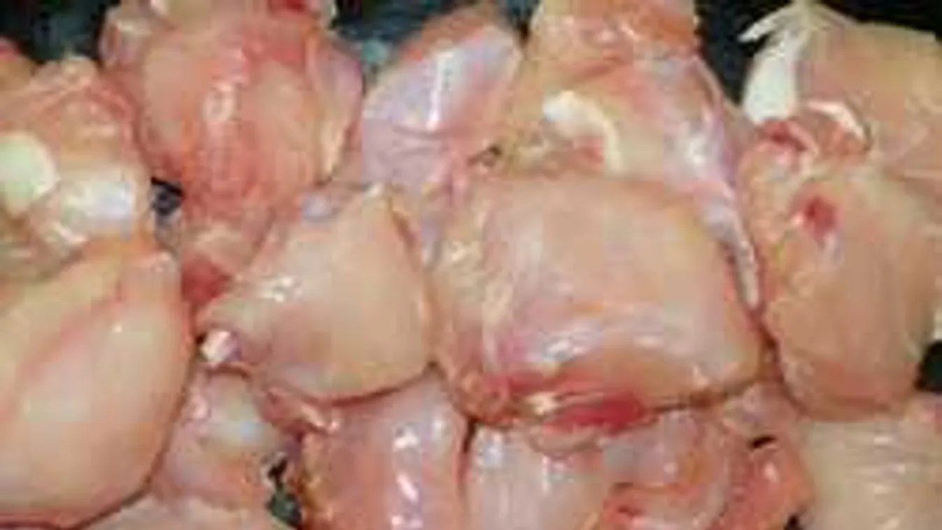 Bevizsgálták a csirkehúst - megdöbbentő az eredmény!