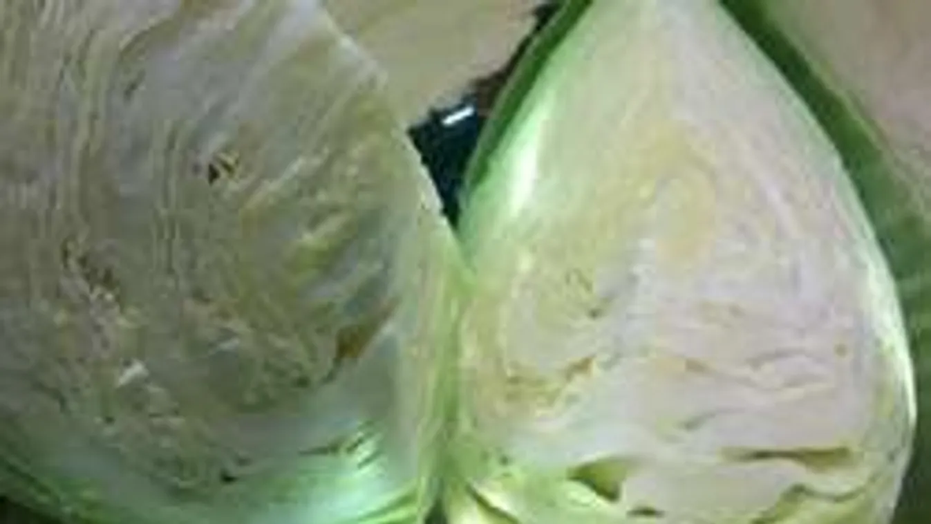 Igazi fogyókúrabomba: így készül a téli zöldségfasírt