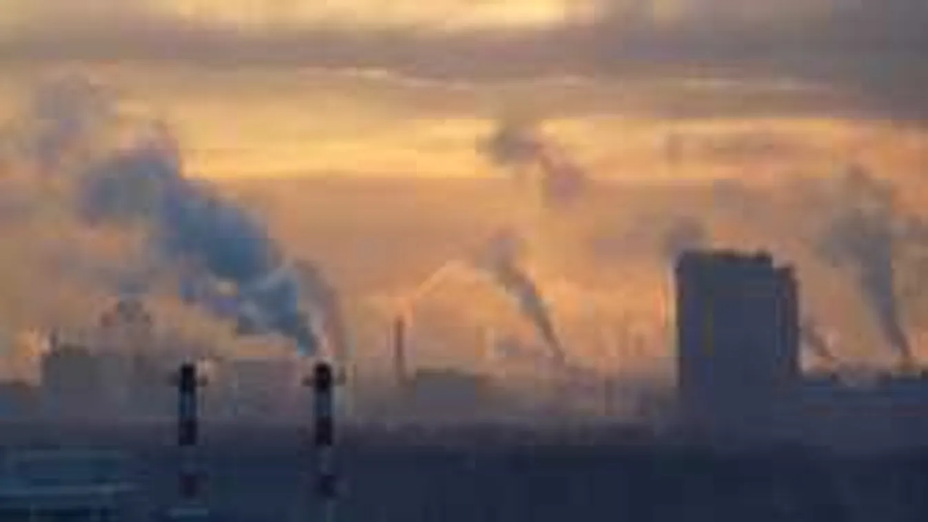 Szmogriadó: ezek a növények az életedet is megmenthetik a panelban