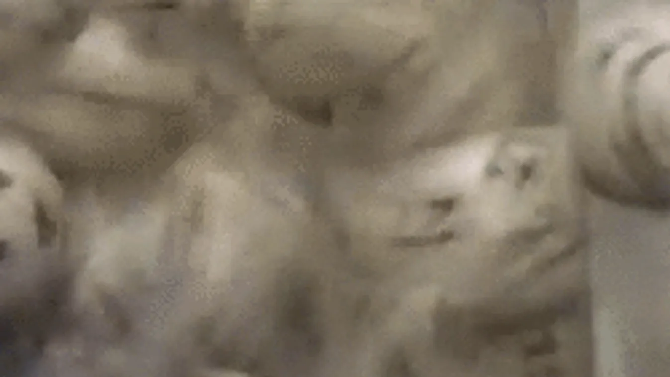 Ezek a számok értek 323 millió forintot! Te vitted el a főnyereményt?