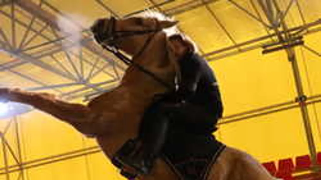 Balesetet szenvedett az ismert magyar színész - Fotók