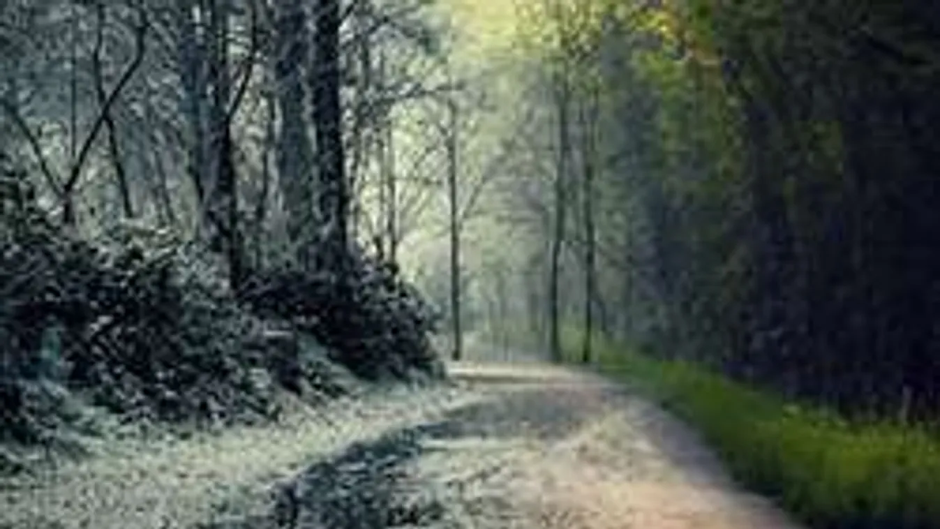 Kiderült: Tévedett a meteorológia, ilyen időjárás lesz tavasszal