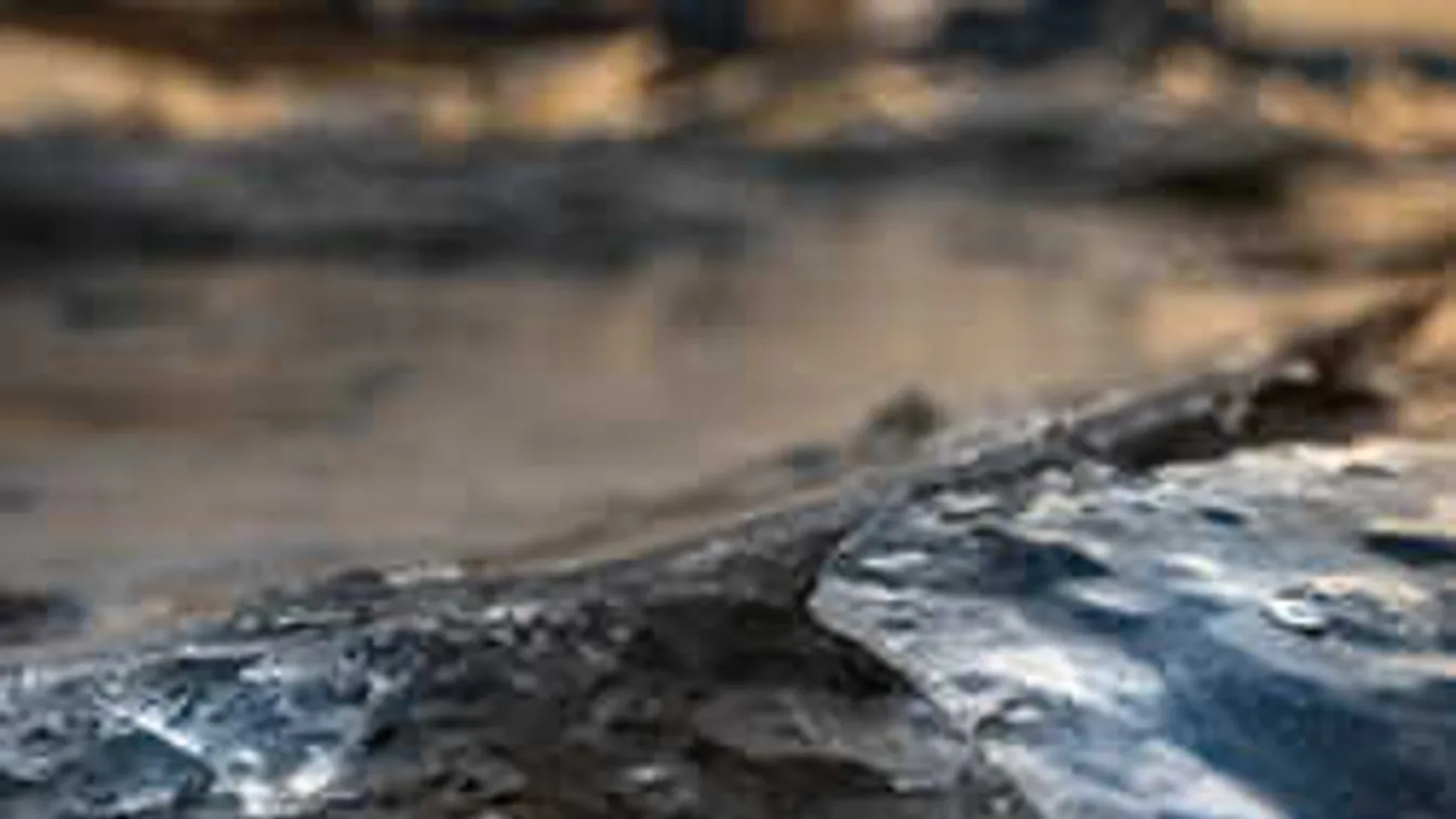 Kutyája után futott, egy hajszálon függött az élete a pesti kislánynak