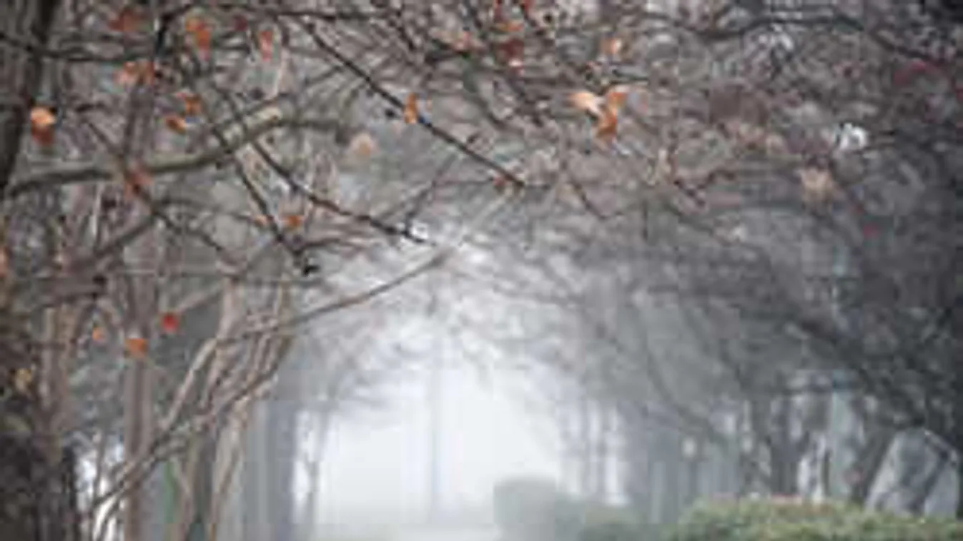 Tévedtek a meteorológusok: meghökkentő időt hoz a február