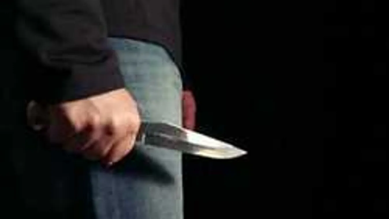 Késsel támadtak a tunéziai migránsok Velence mellett!