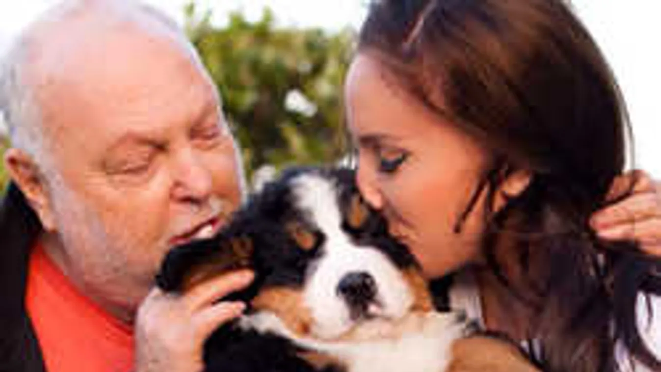 Magyar celebjeink kutyáinak sztárélete van