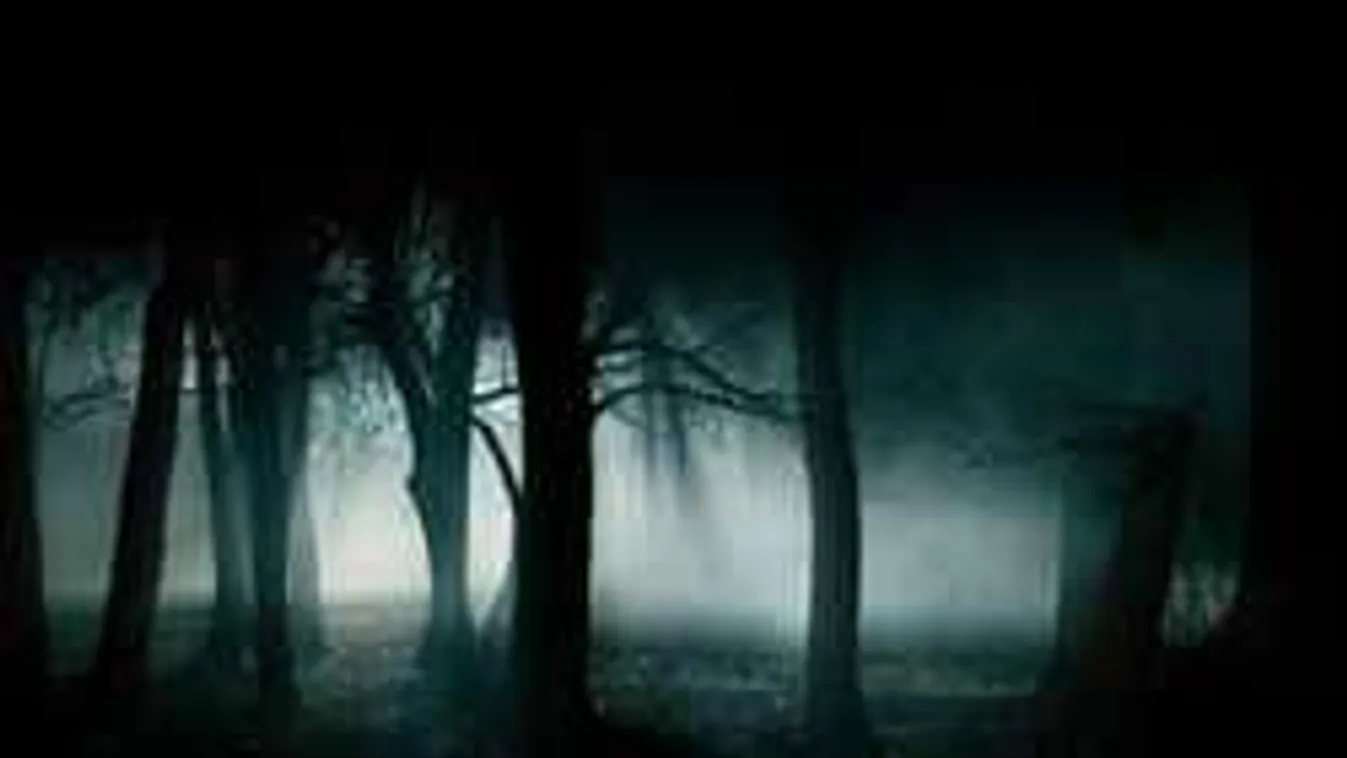 Sötét erdőben bolyongtak: rejtélyesen tűnt el három gyerek Tolnában