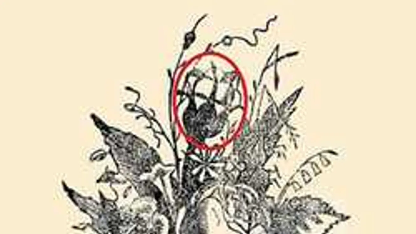 Tíz emberből egy tudja csak megfejteni ezt a feladványt