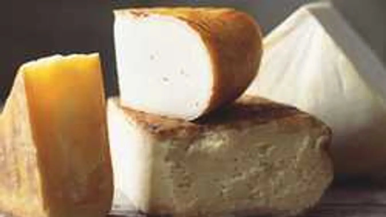 Csak óvatosan! Ezért veszélyes a férfiakra a tej és a sajt