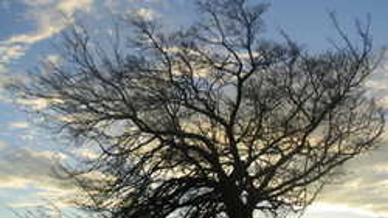 Megérkezett a legfrissebb időjárás-jelentés, erre készülj