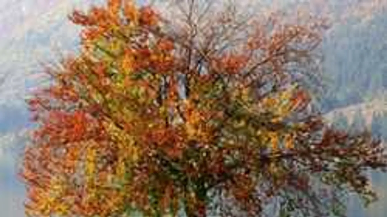 Elképesztő ötlet: halottakból akarnak erdőt csinálni