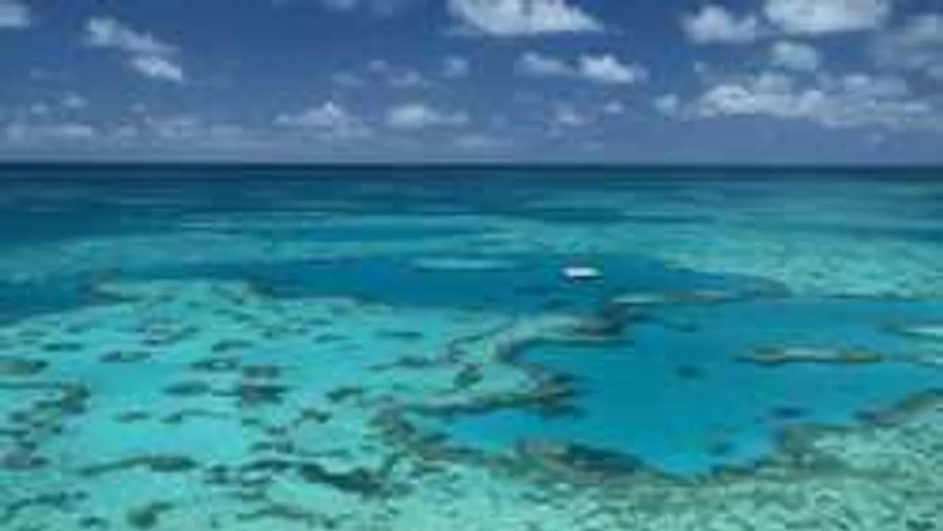 Nem hiszed el, mit találtak az óceán mélyén, a tudósok is megdöbbentek