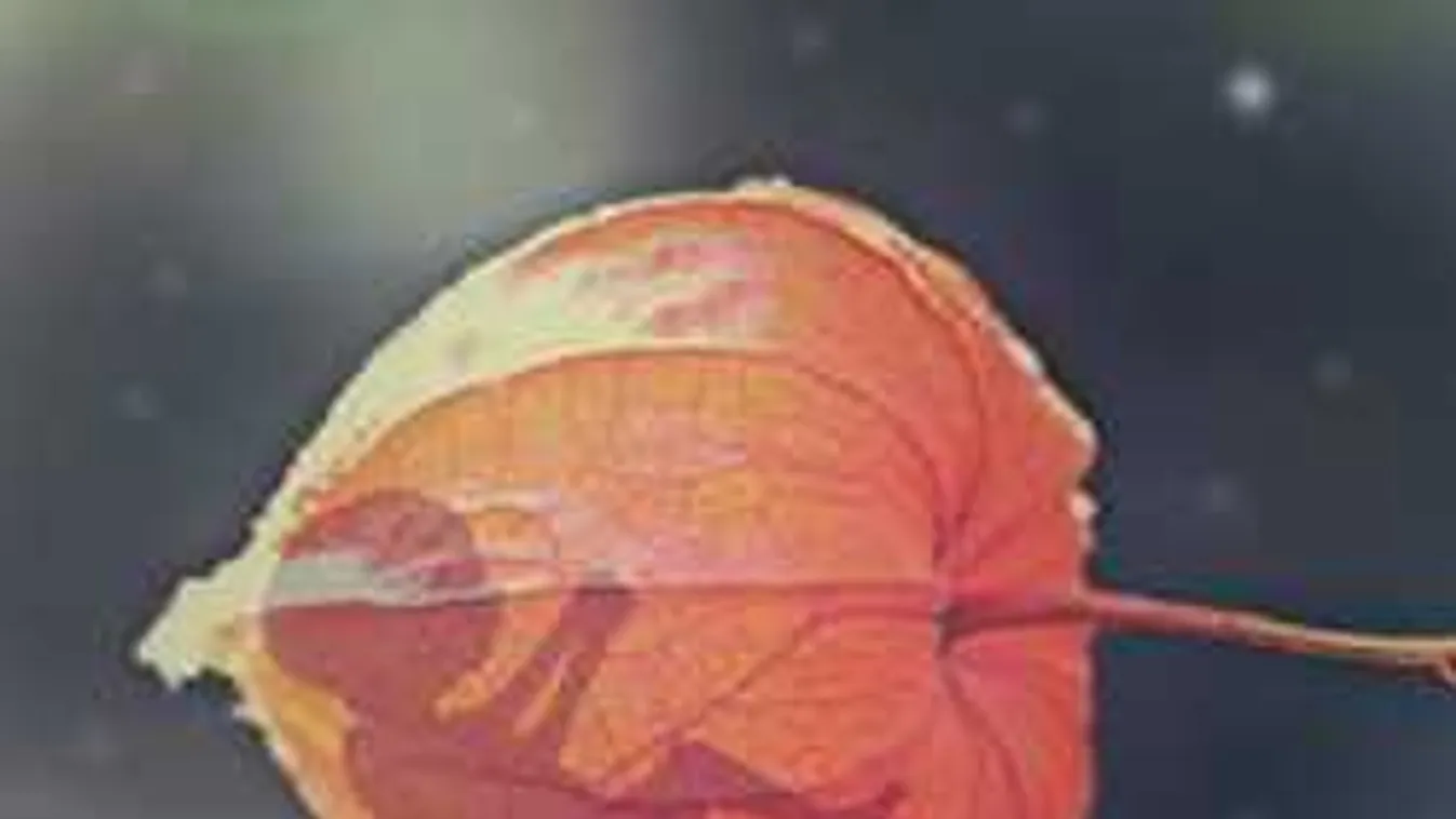 Kitört az abortuszpara, nem szülnek a nők