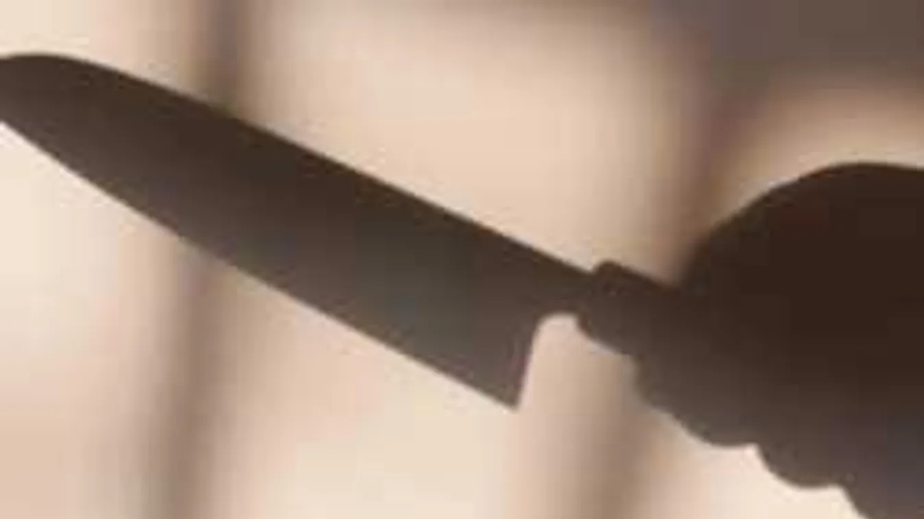 A szenegáli lopott, a gambiai leszúrta