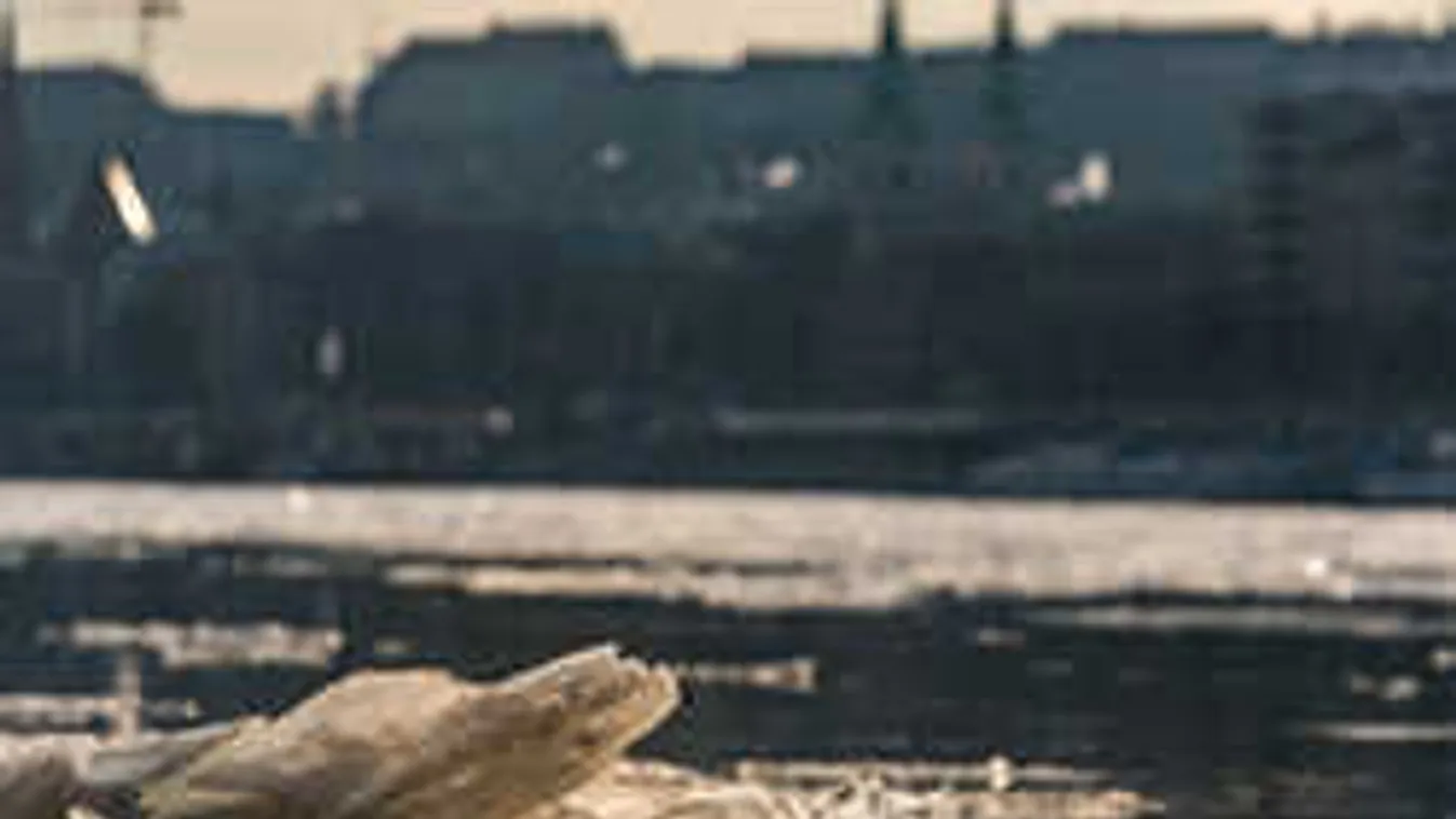 Brutális, ahogy a zajló jég feltorlódik és letarolja a partot - Videó