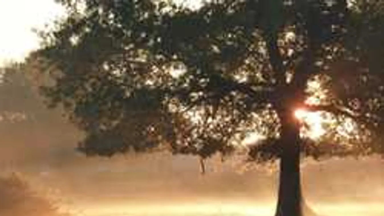 Megdöbbentő lesz a jövő heti időjárás! Nem fogsz hinni a szemednek