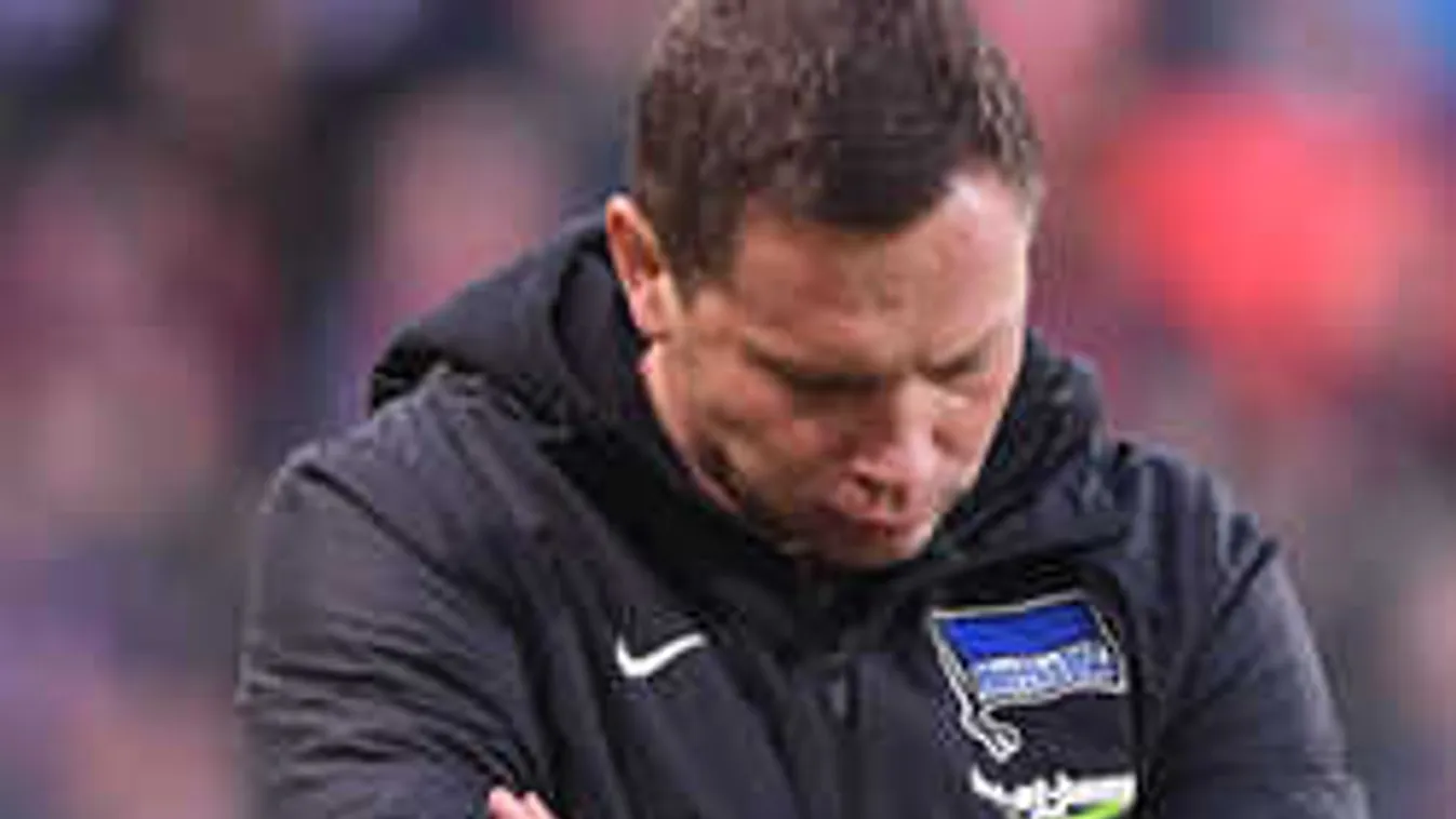 Nagy a baj, Dárdaiékat már a főnök is kritizálja