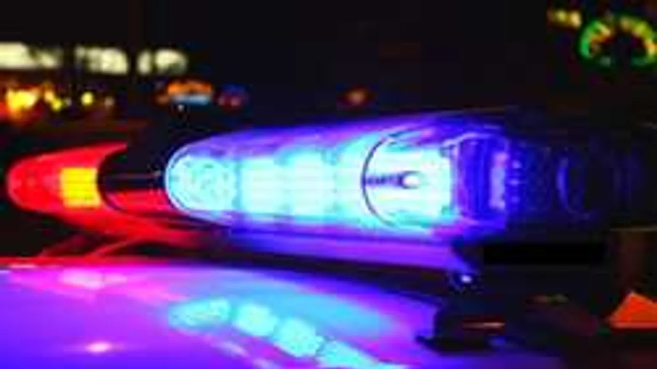 Két munkás holttestére bukkant egy 82 éves néni a pincéjében