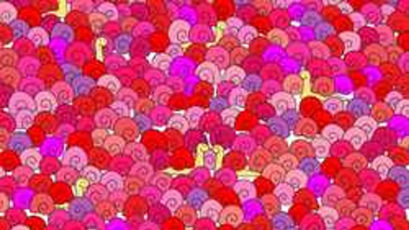 Durván rápörgött a net erre a feladványra! Te meg tudod oldani?