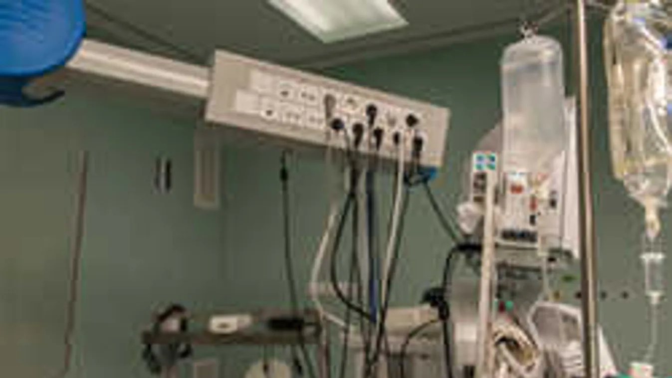 Saját összetört szívét foghatta kézbe ez a nő az átültetés után