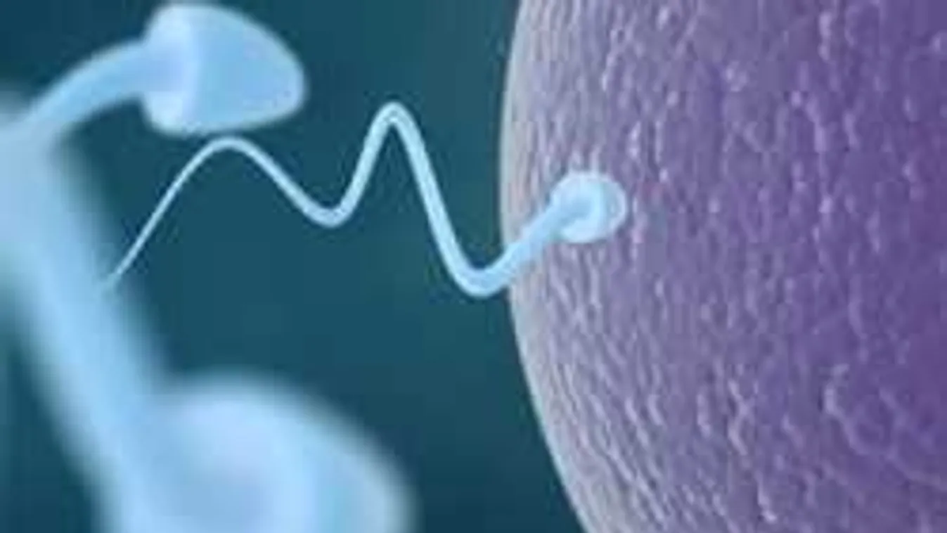 Két évig hat, és mellékhatása sincs: itt a férfi fogamzásgátló