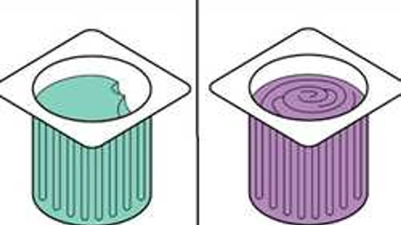 Kétfajta embertípus létezik: te melyikbe tartozol?