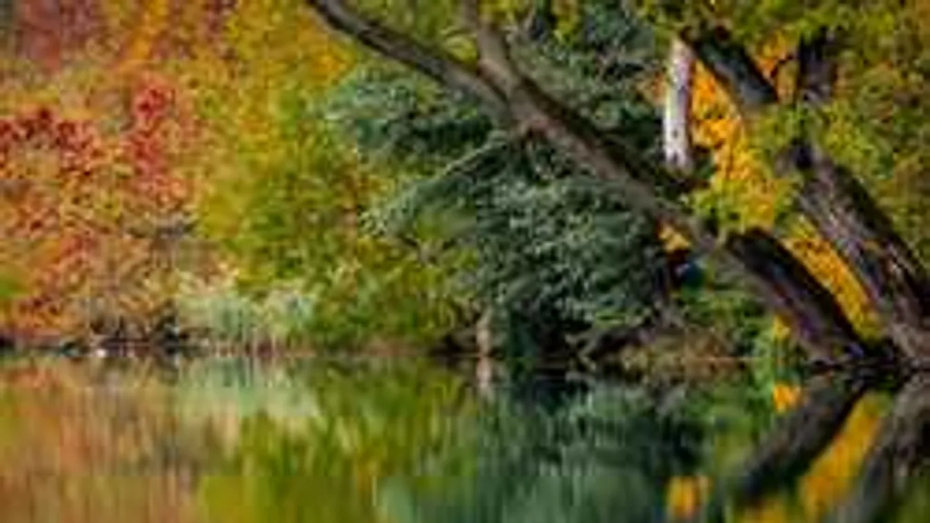 Rejtélyes csontvázat rejtett a láda, holmiját a Dunából halászták ki