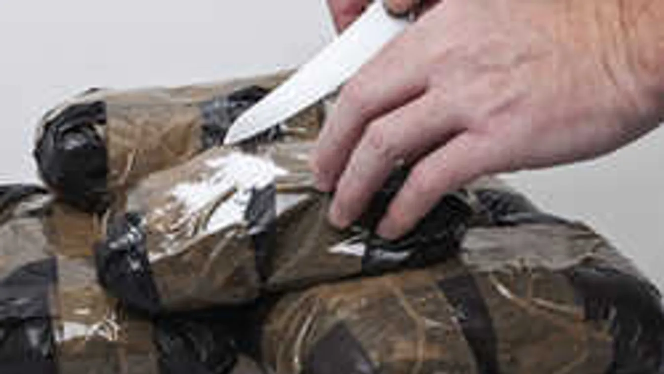 Drogtesztre kötelezik az ukrán ügyészeket