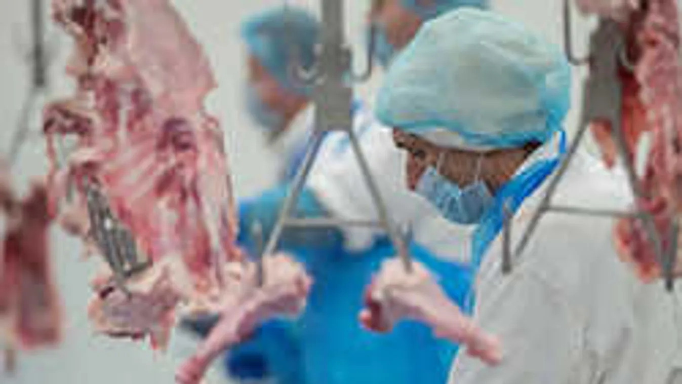 A vevők harmadának se jut kacsa- és libahús húsvétkor