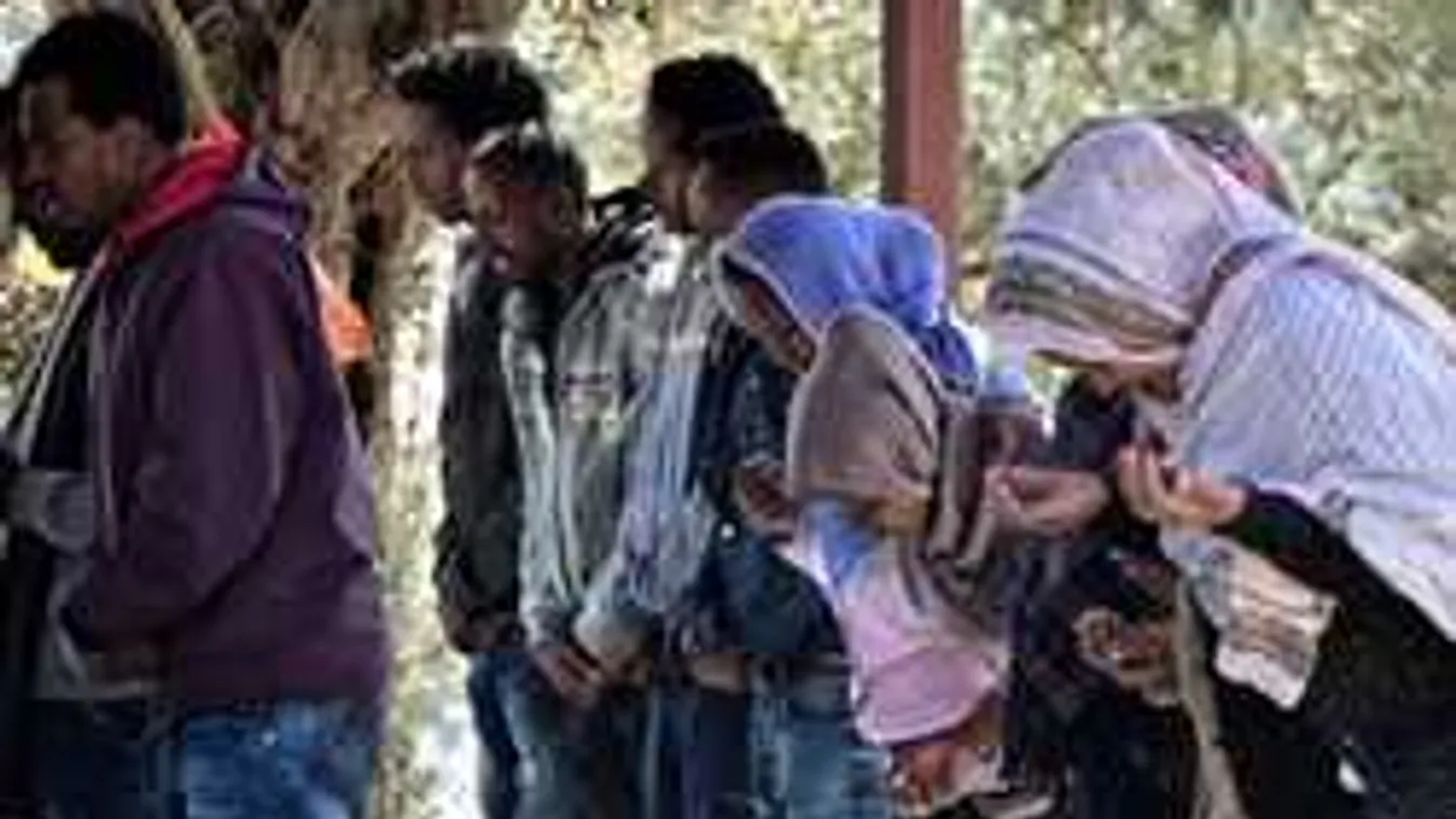 Minden második menedékkérő hamis adatokkal cselez