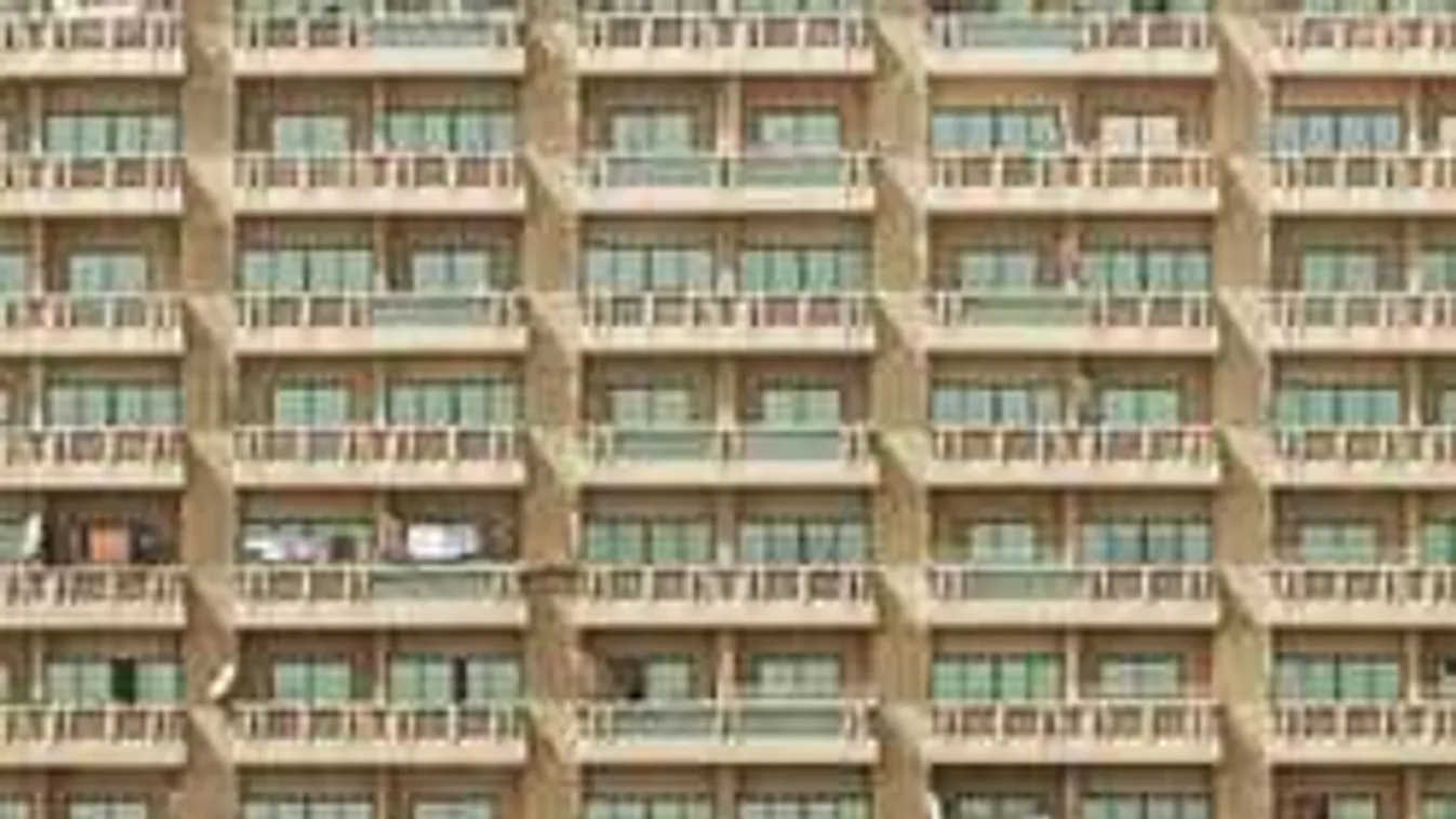 Az építőiparban a legerősebb az új munkaerő iránti kereslet