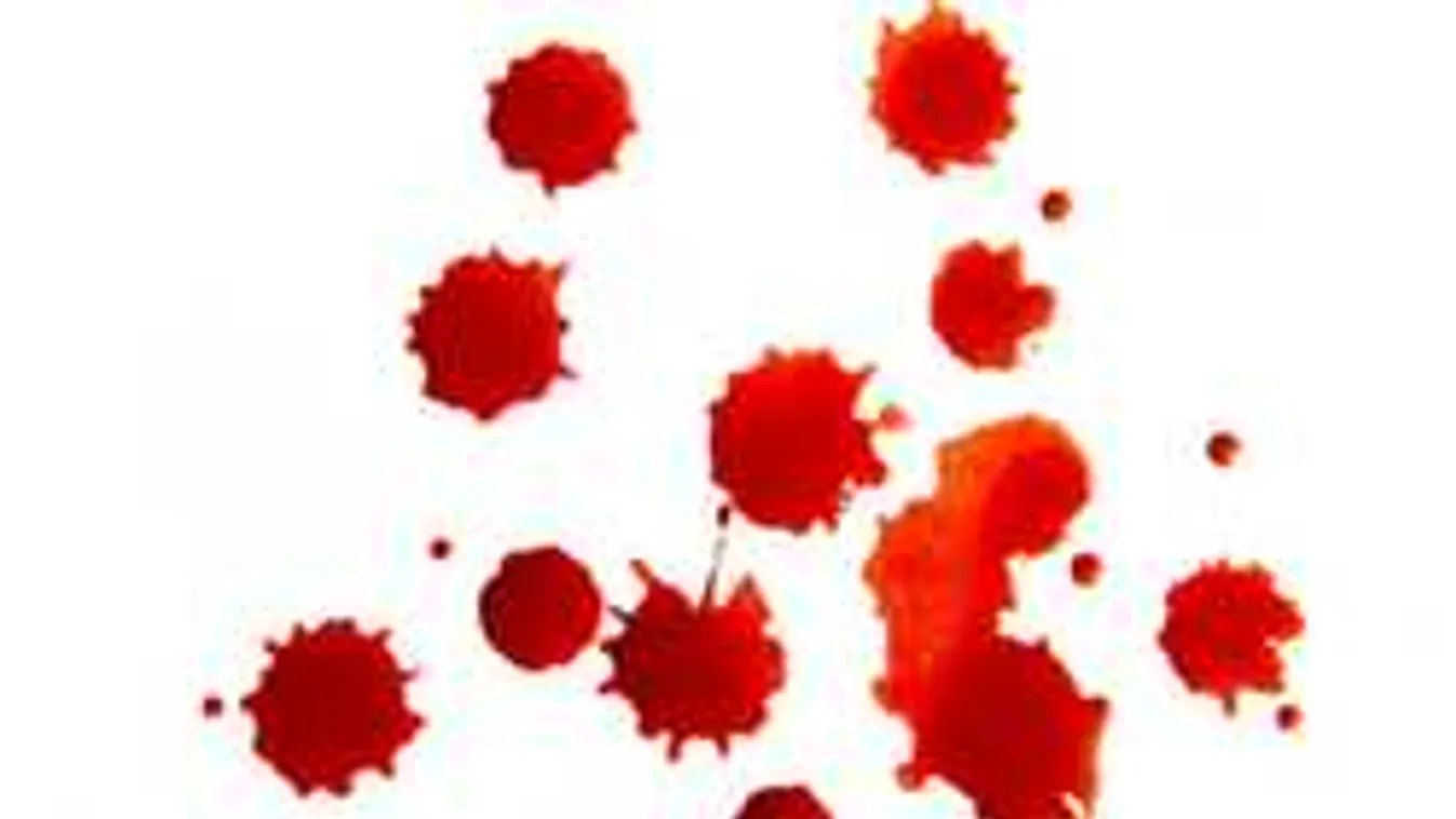 Ismered a vércsoportod? Életmentő lehet!