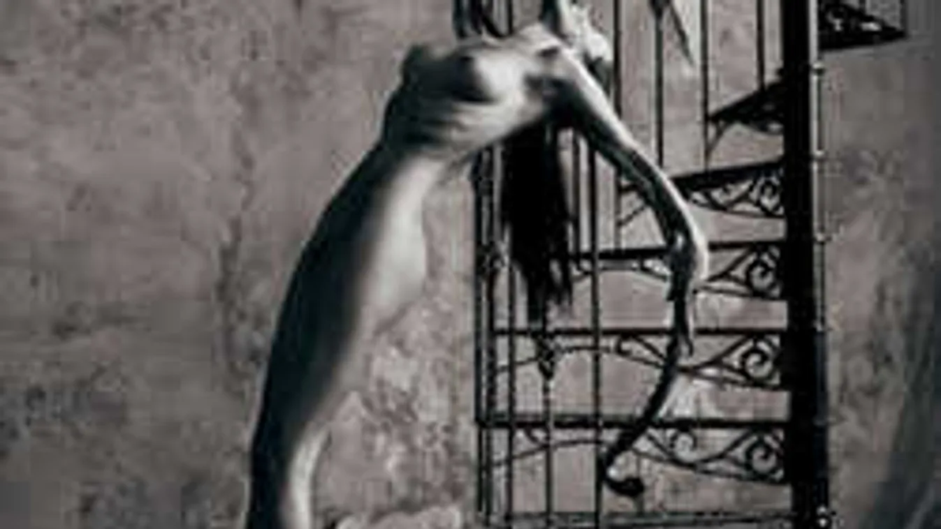 Erotika, akt és pornó: ilyen izgató a meztelen női test