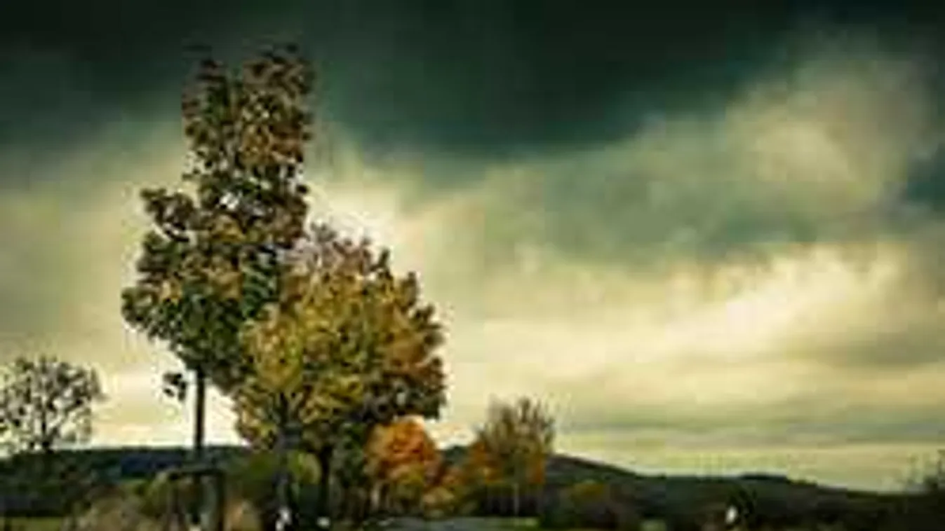 Heteken belül eldől a székesfehérvári déli összekötő nyomvonala