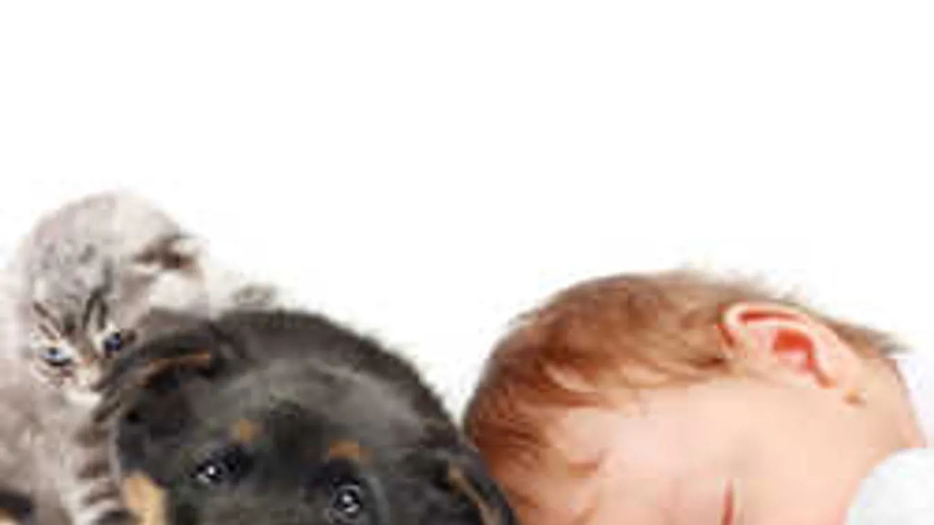 Egy órával kevesebbet alszunk. 8 tény az óraátállításról