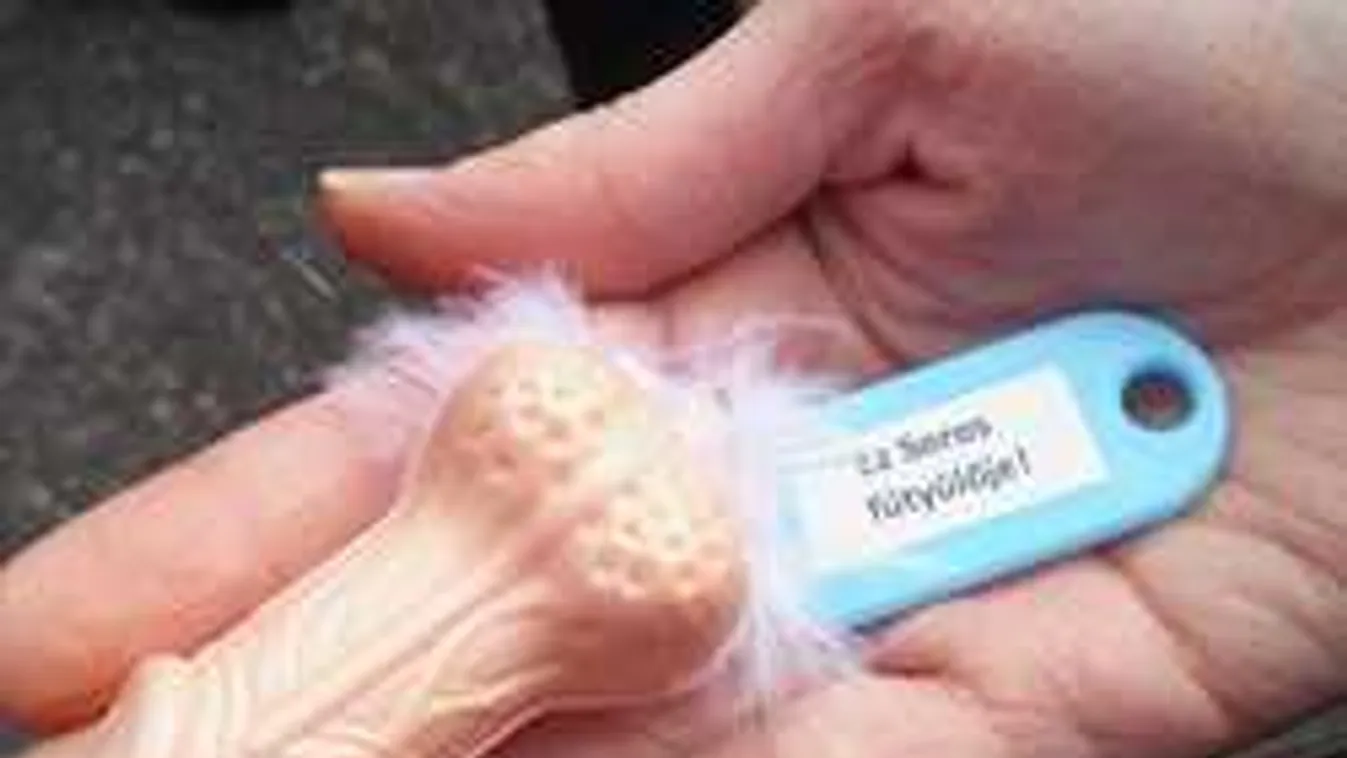 Ritka szép ötlet:Soros-fütyülőket osztogattak a Nemzeti Múzeumnál+18