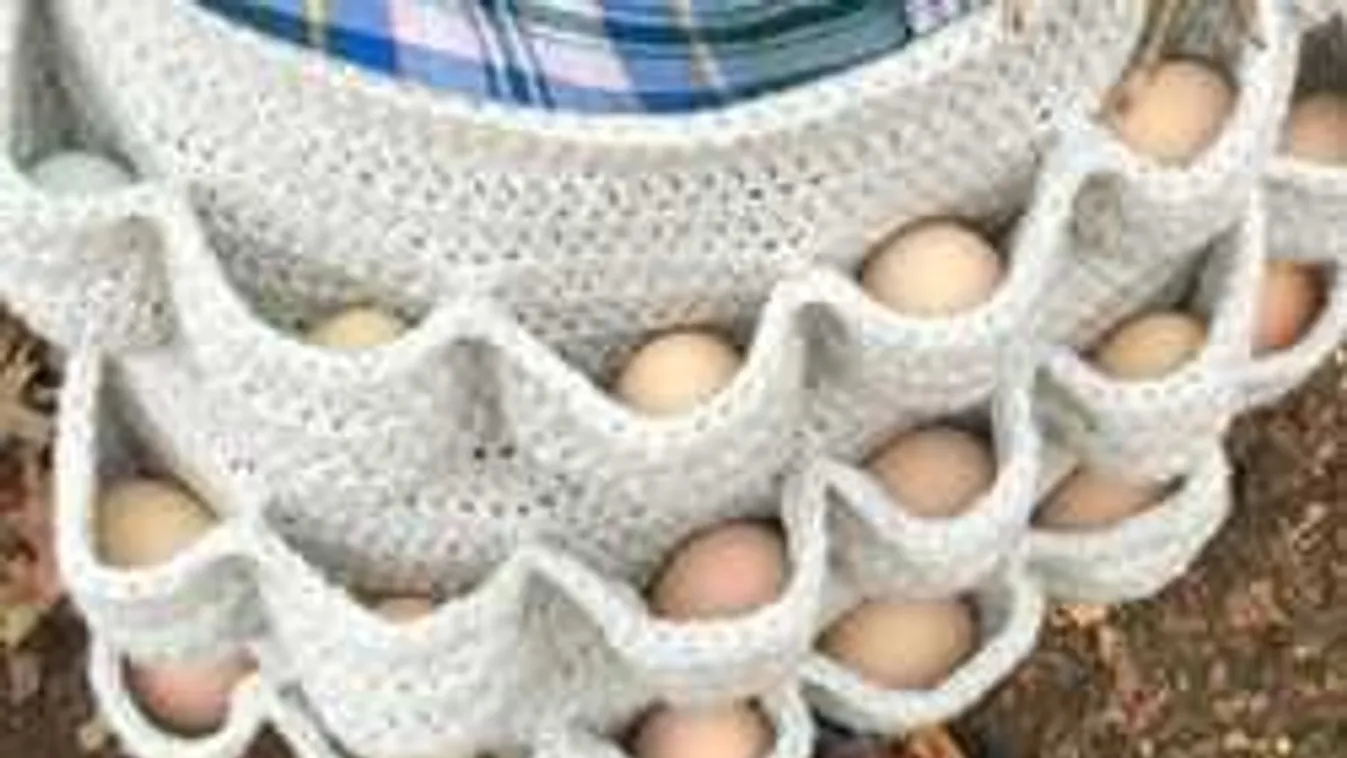 Soha többé nem törik össze a tojás: Ezt nézd! Ilyet még nem láttál!