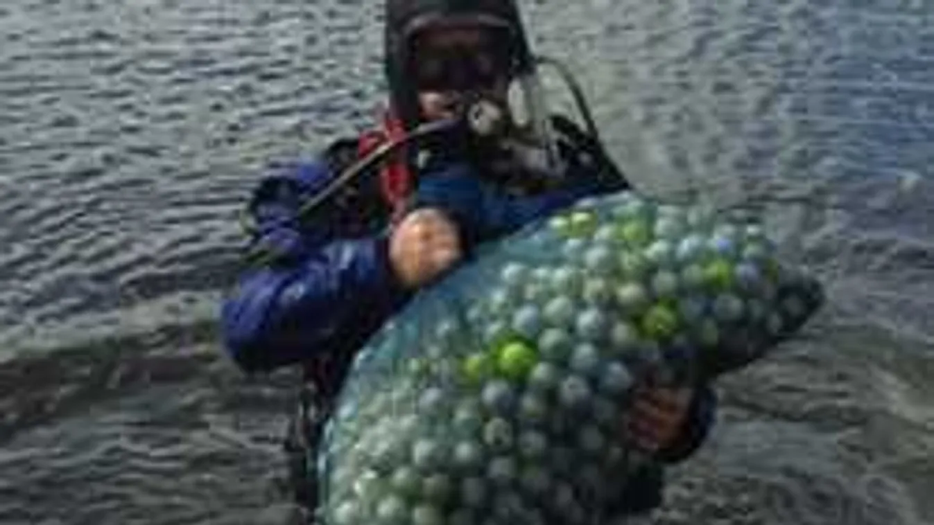 Bizarr munkák, amikért jól fizetnek!