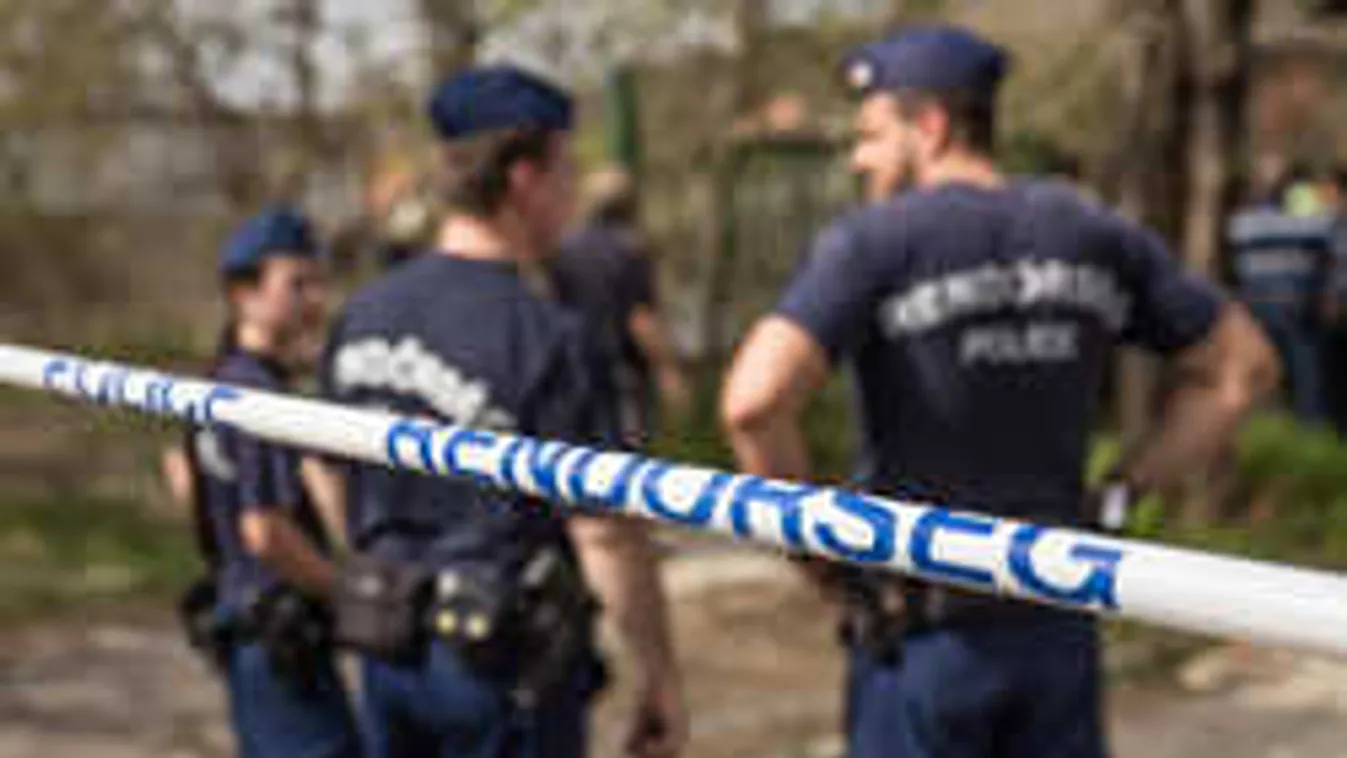 Félholt kutyát találtak Pest megyében, nyomoznak a rendőrök - Videó