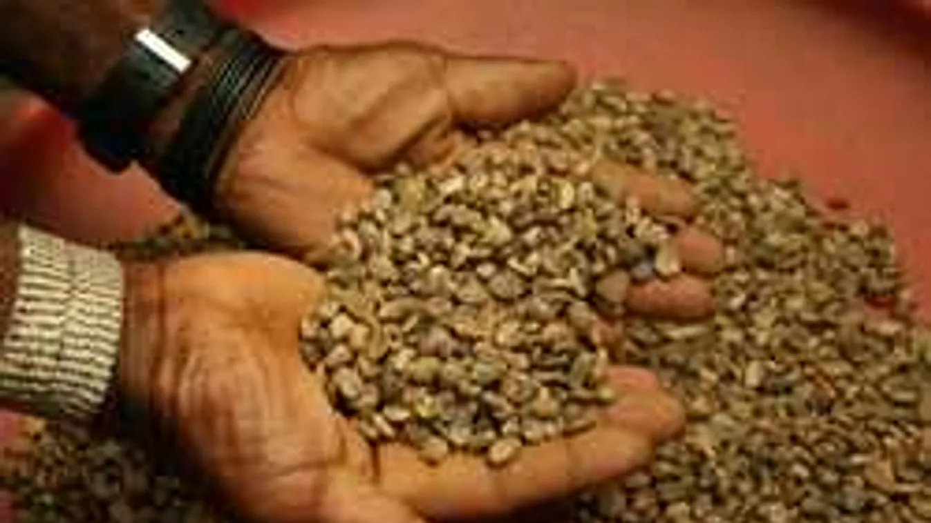 Ennek a hírnek nem fognak örülni a kávéimádók