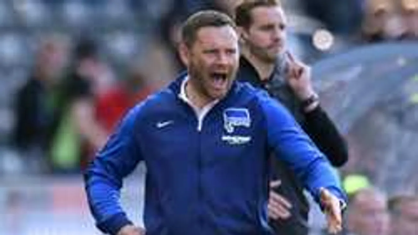 Baljós előjel, Dárdai fia a német válogatottban játszott