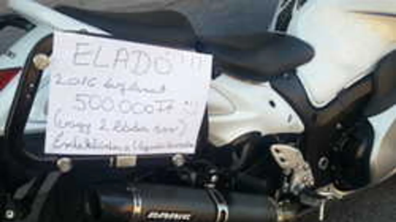 Csodajárgány áron alul!