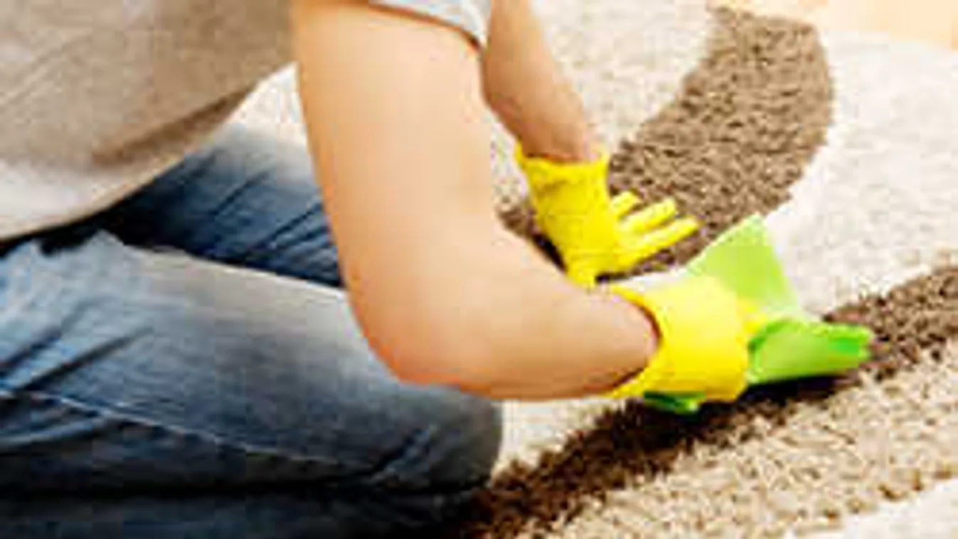 Nagyanyáink titka: ezért legyen otthon mindig szalmiákszesz