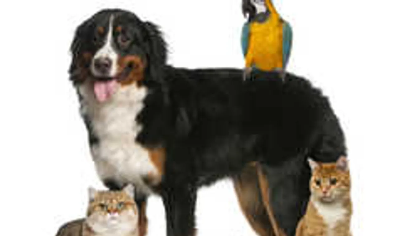 Ne titkold, ki vagy! Ez a kép mindent elárul rólad