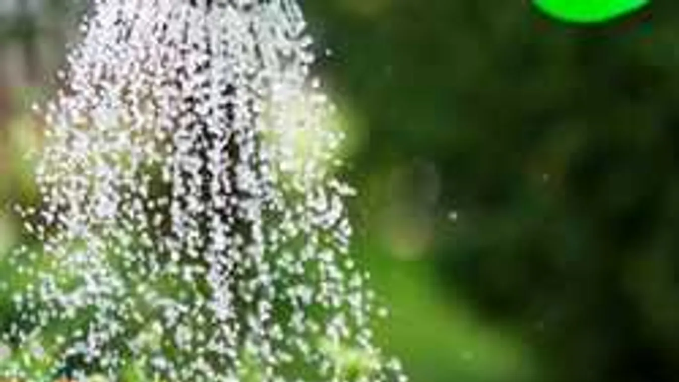 Így locsold a kertet, hogy egész nyáron minden gyönyörű legyen