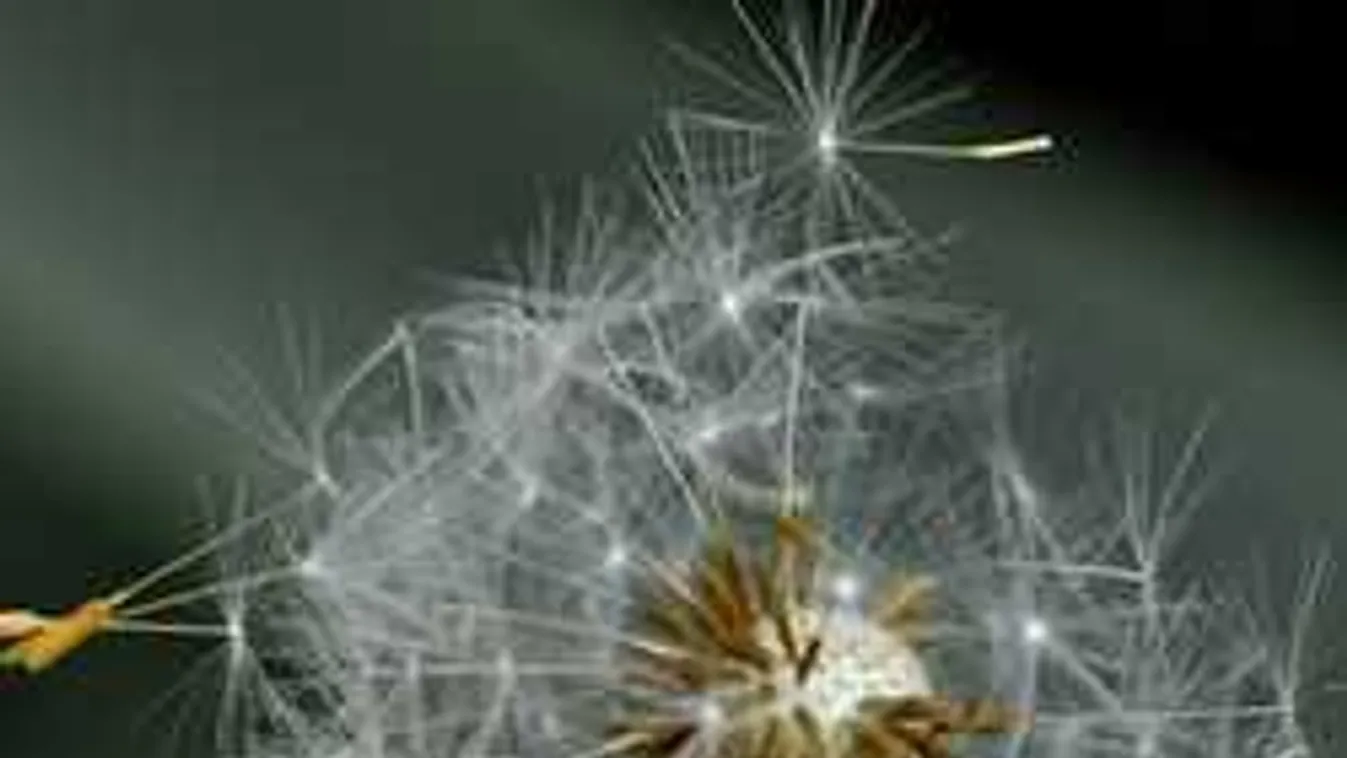 Kiadták a riasztást: viharos szelet hoz a meleg levegő