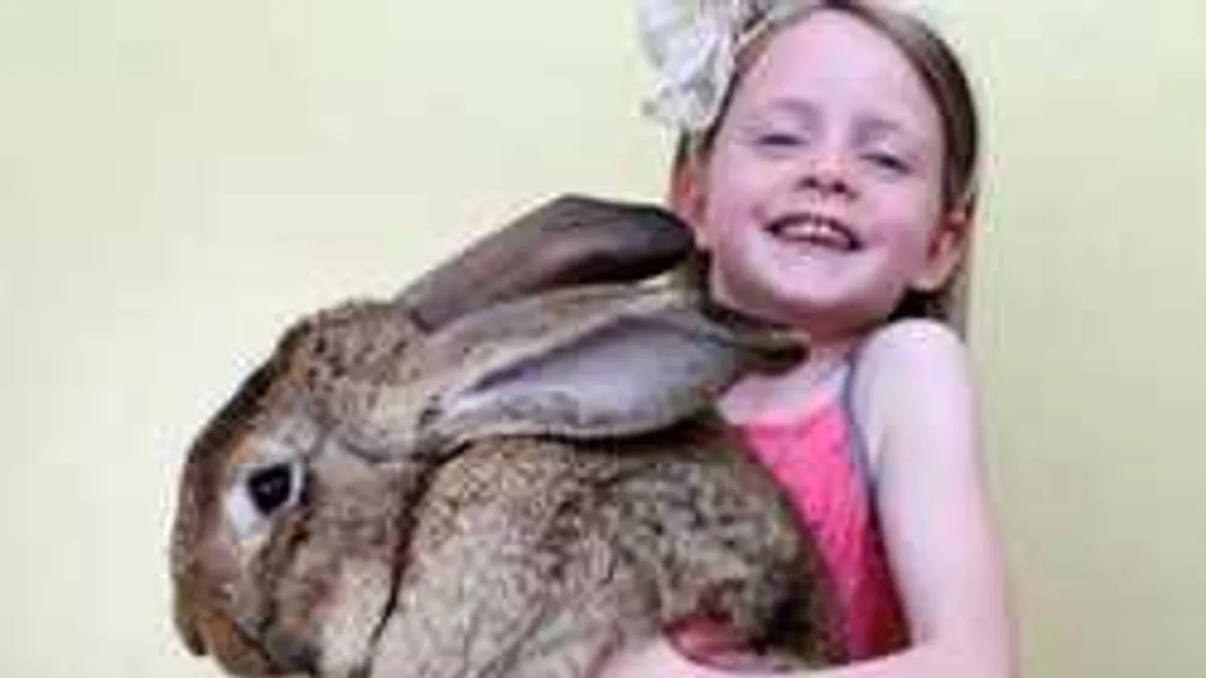 Most végre kiderül, miért a nyúl hozza a tojást