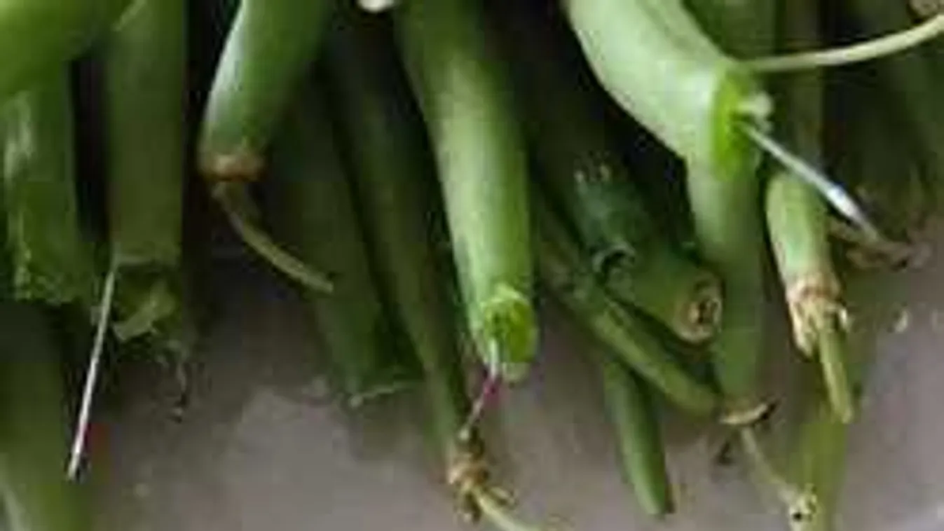 Döbbenet, fémtű volt a zöldbabban!