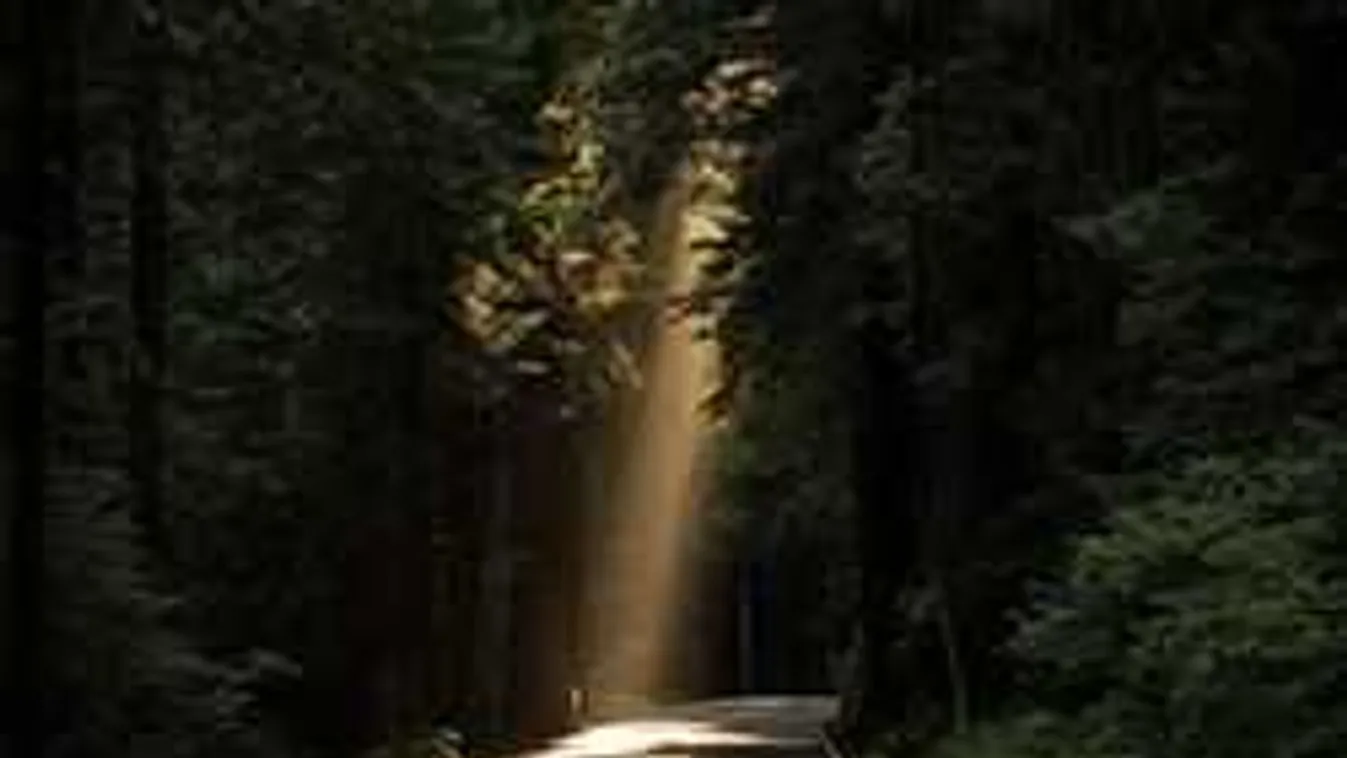 A Magyar Közút csaknem 10 milliárd forintot költ idén kátyúzásra